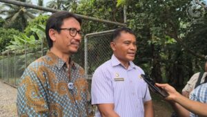 Internet Cepat Merata? Telkomsat Siap Gebuk Sinyal Lemot di Daerah Terpencil