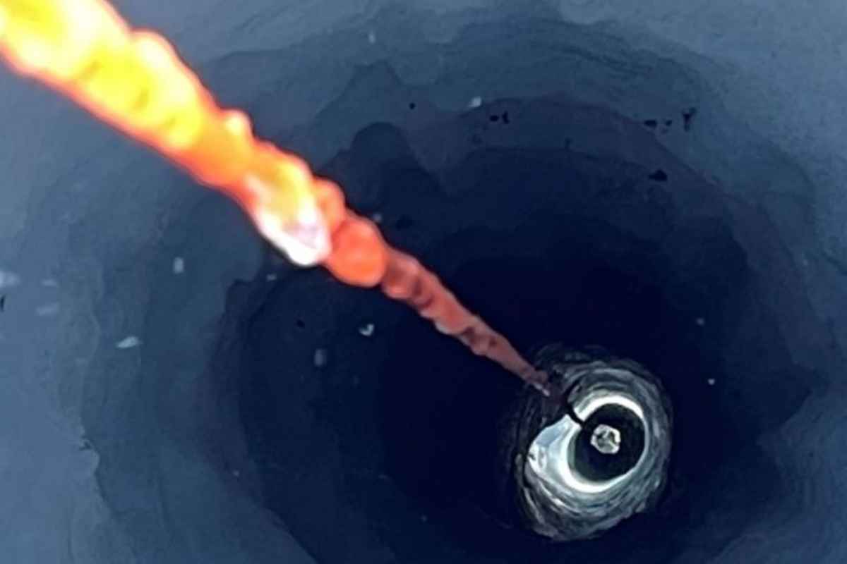 Ternyata Ada Hutan Purba Tersembunyi di Bawah Es Antartika! Isinya Bikin Merinding