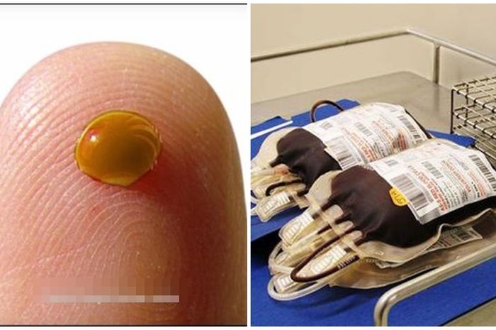 Kisah Unik, Orang dengan Golongan Darah Langka Ini Cuma Sendirian di Bumi