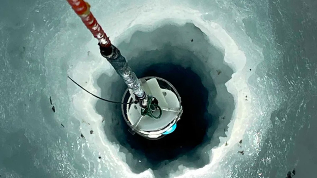 Penemuan Mengejutkan di Antartika, Hewan Laut Misterius Ditemukan di Bawah Es!