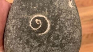 Momen Aneh Tertangkap Kamera? Ini Buktinya!