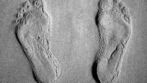 Wow! Jejak Kaki Manusia Purba Ini Ungkap Misteri Arab Saudi Zaman Dulu