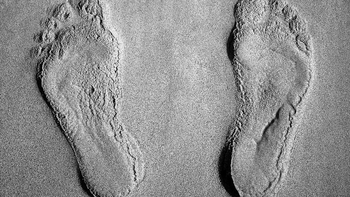 Wow! Jejak Kaki Manusia Purba Ini Ungkap Misteri Arab Saudi Zaman Dulu