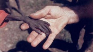 Momen Pilu yang Abadi, Kilas Balik Peristiwa Paling Memilukan dalam Sejarah