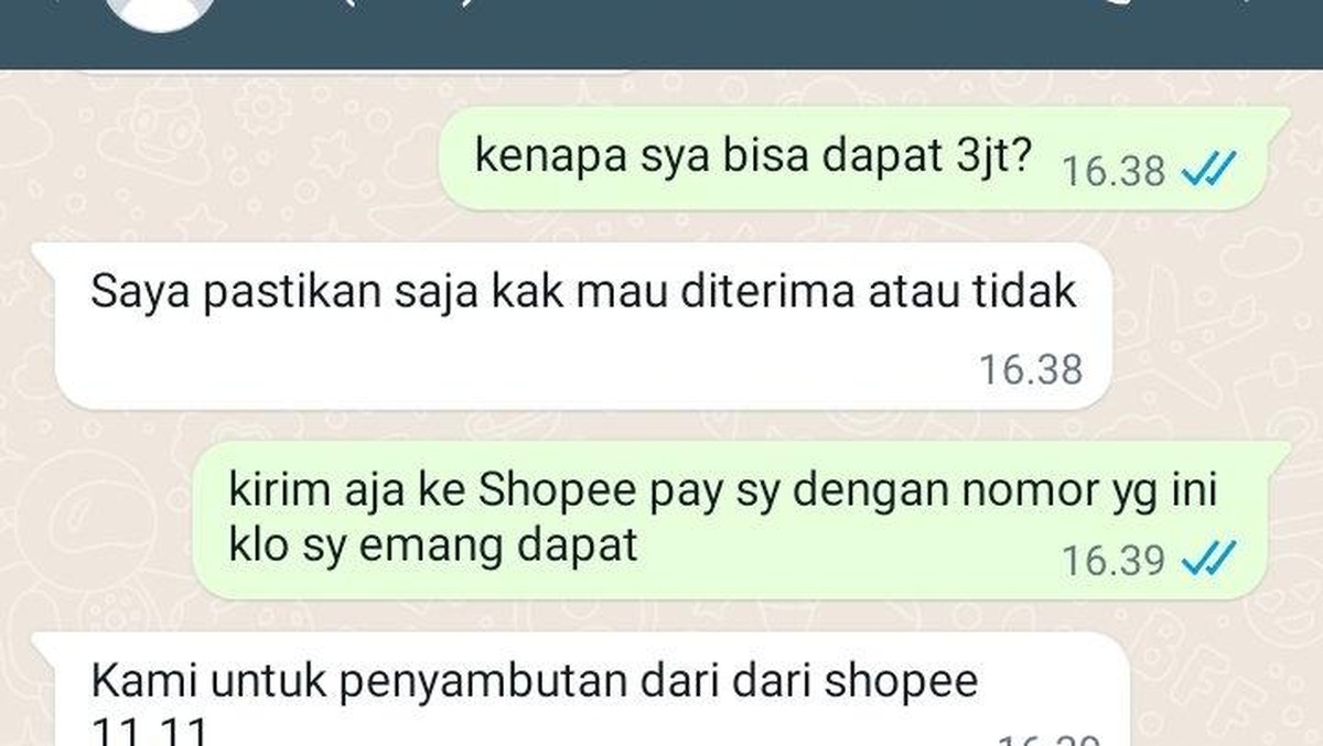 Ketika Penipu Ketahuan, Chatnya Malah Bikin Ngakak!