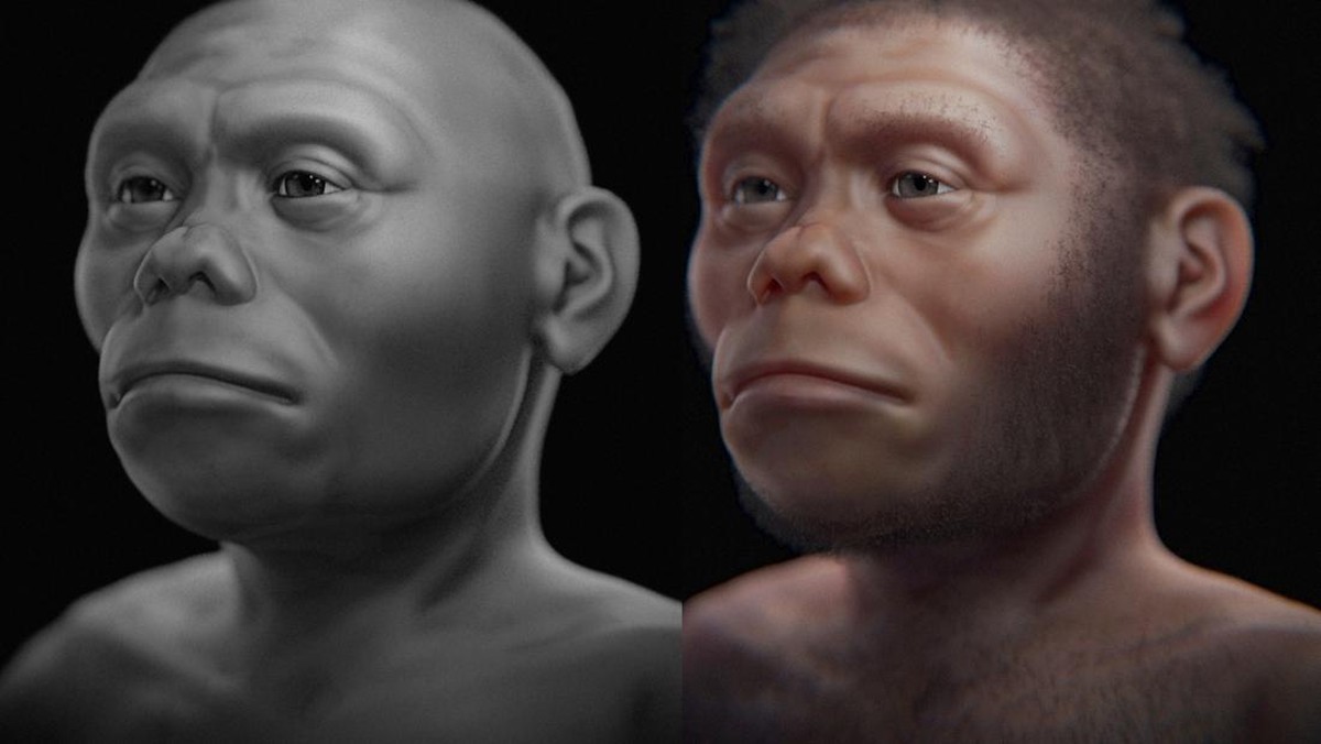 Misteri Otak Kecil Hobbit Flores, Apa yang Bikin Mereka Unik?