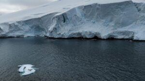 Rahasia Antartika Terungkap Berkat DNA Si Gurita? Ilmuwan Australia Bongkar Faktanya!