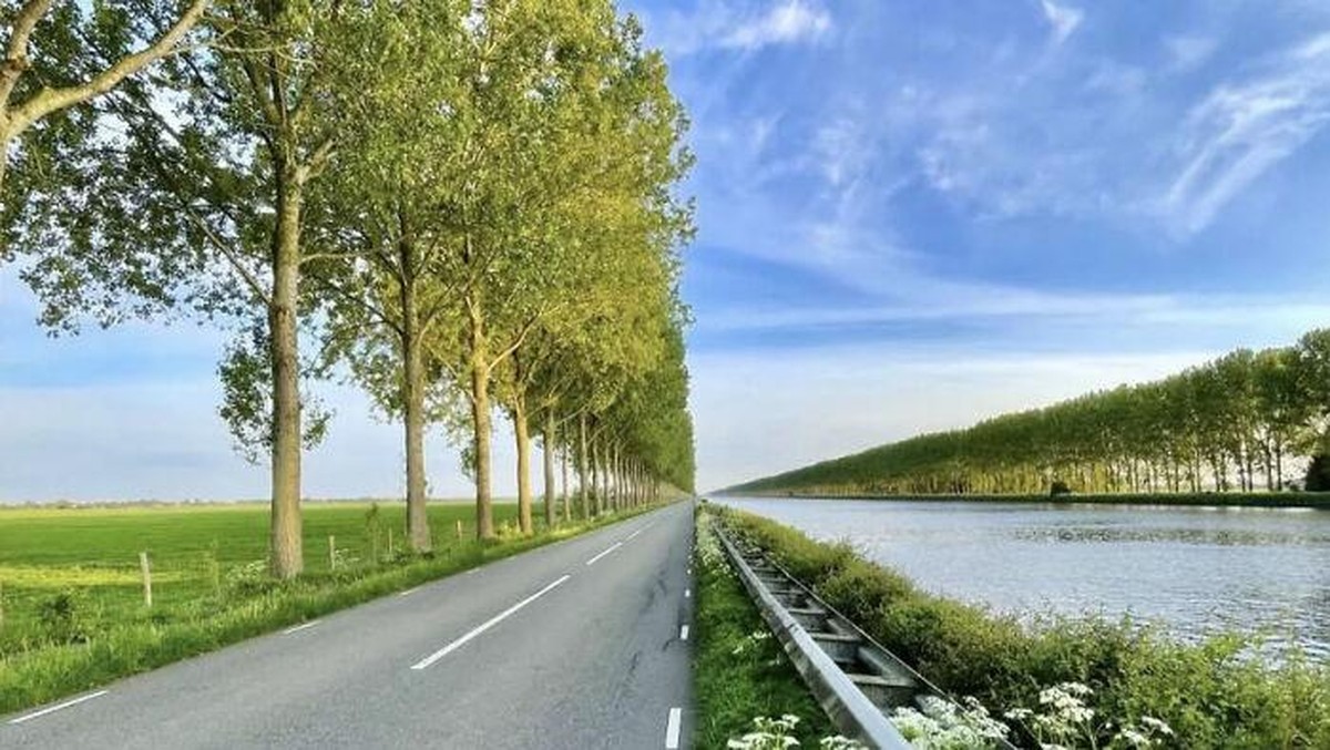 Otakmu Bisa Error! Foto-foto Ini Bikin Mikir Keras