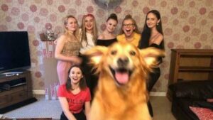 Potret Lucu, Ekspresi Menggemaskan Peliharaan Saat Diajak Selfie