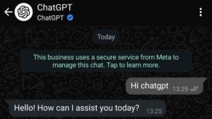 ChatGPT & Copilot Pamit dari WhatsApp, Kok Bisa?