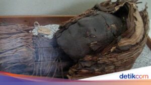 Otak Seukuran Kacang? Rahasia Mumi Chile Ini Bikin Penasaran!