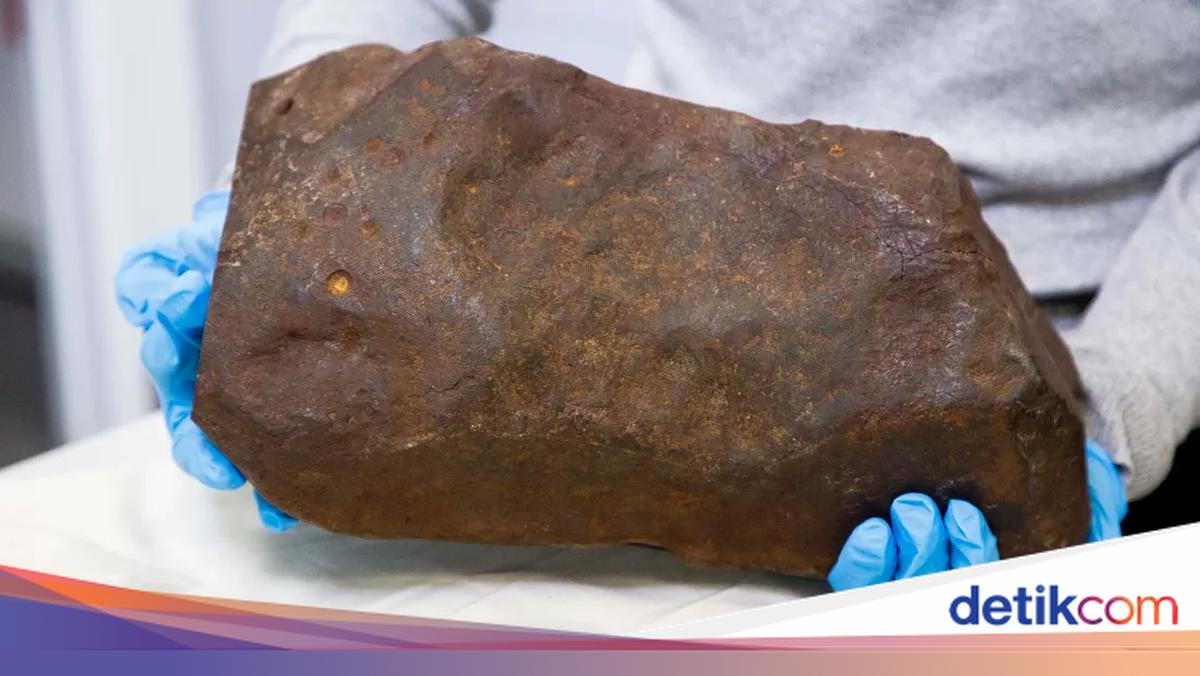 Kisah Batu yang Disangka Emas, Nilainya Bikin Tercengang!