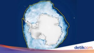 Antartika dalam Bahaya, Data Satelit Ungkap Kondisi Es yang Mencemaskan