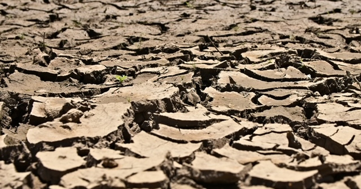 El Nino Terkuat Sepanjang Sejarah Diprediksi Desember 2026