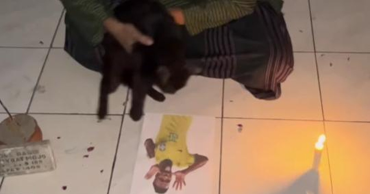 Mitos Kucing Hitam Gagalkan Gol Vini Jr Viral di Media Sosial