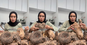 Kimpul Umbi Lokal Viral X Mengubah Kuliner Digital