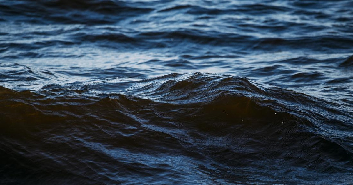 Suhu Laut Pecah Rekor Dunia Membara El Nino dan Manusia Biang Kerok